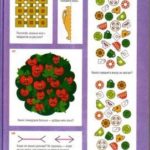 головоломка 72