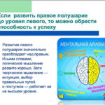 мозг человека
